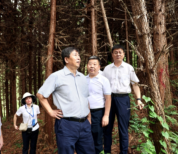 单忠立到中国林业集团定点帮扶县湖南省通道县考察调研